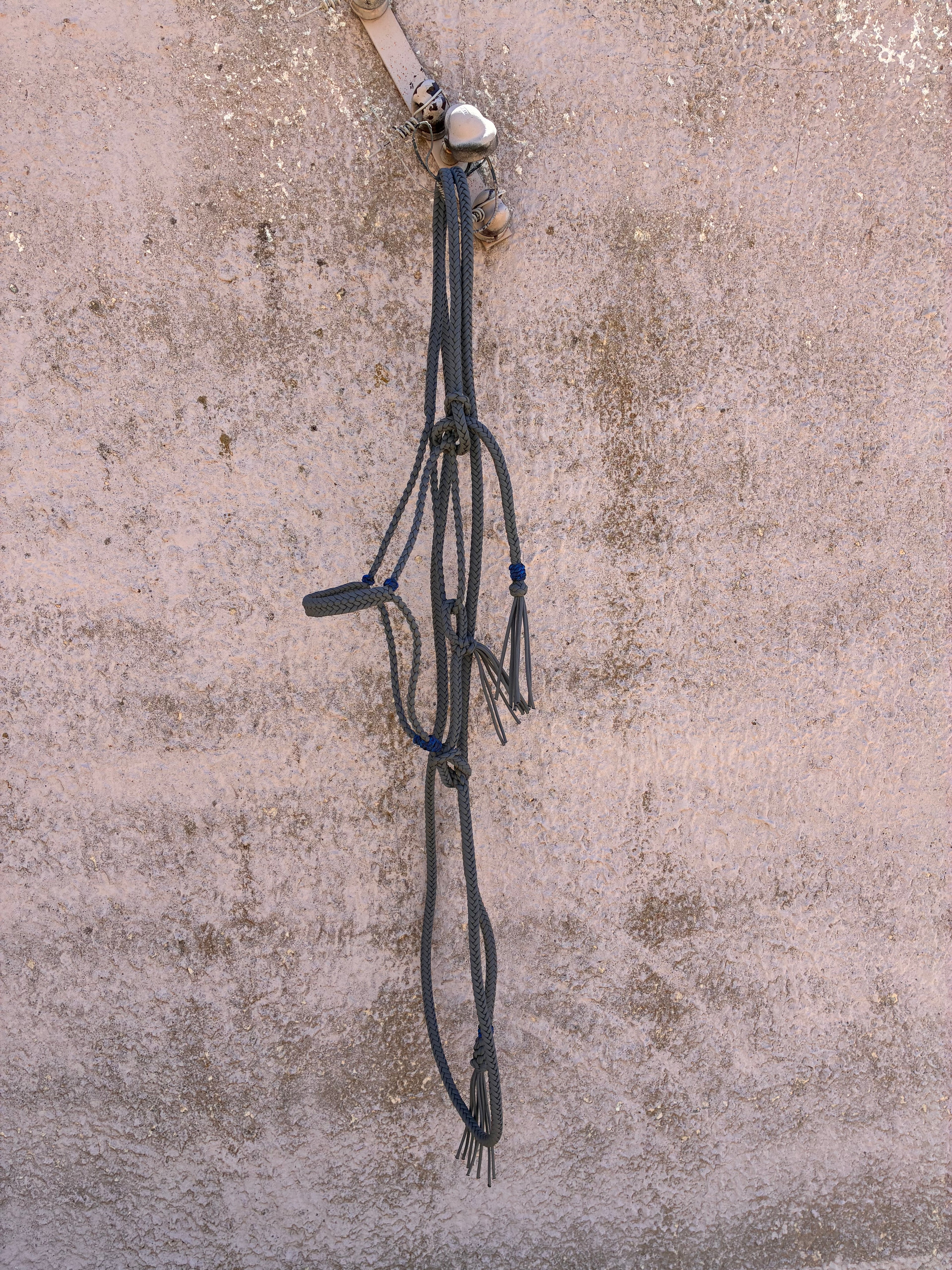 Grey w/ Blue Horn Knots