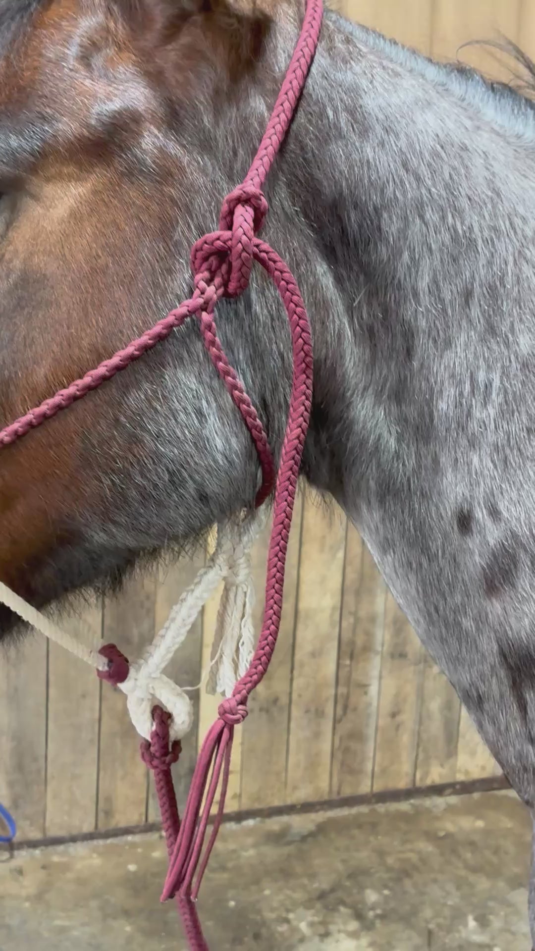 Maroon Rope
